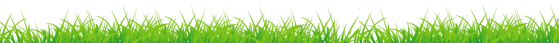 Grass